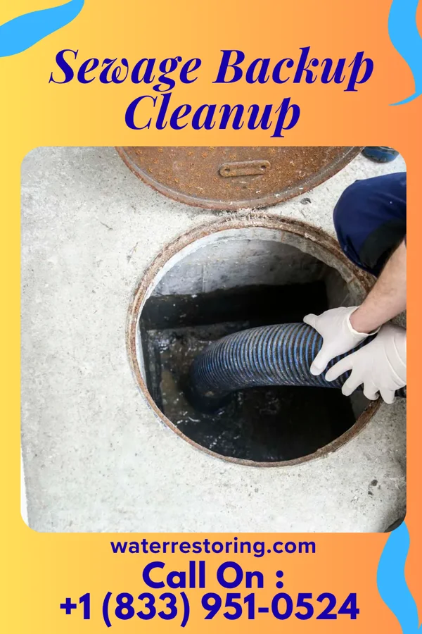 Sewage Backup Cleanup in Shreveport, LA